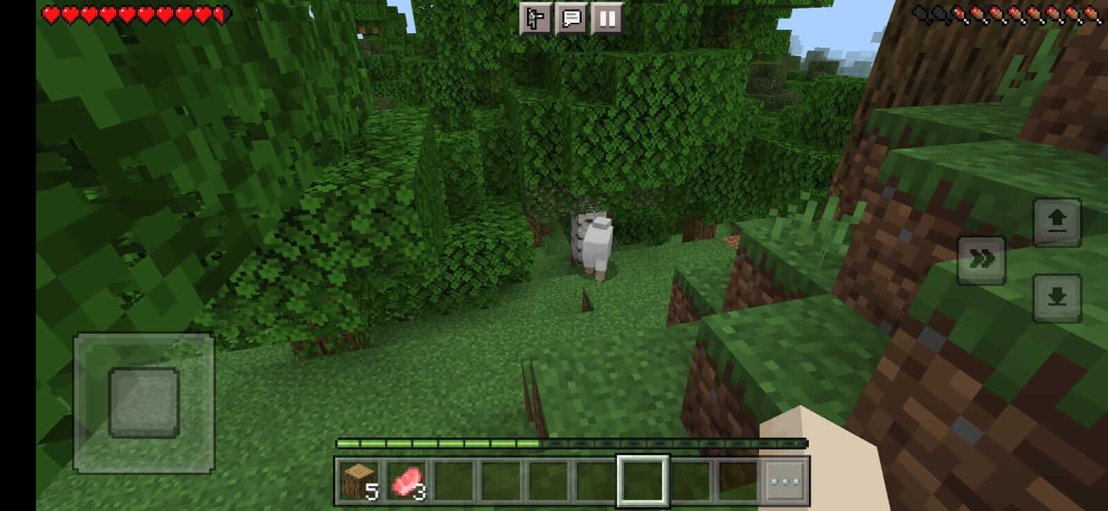 Minecraft Exploration